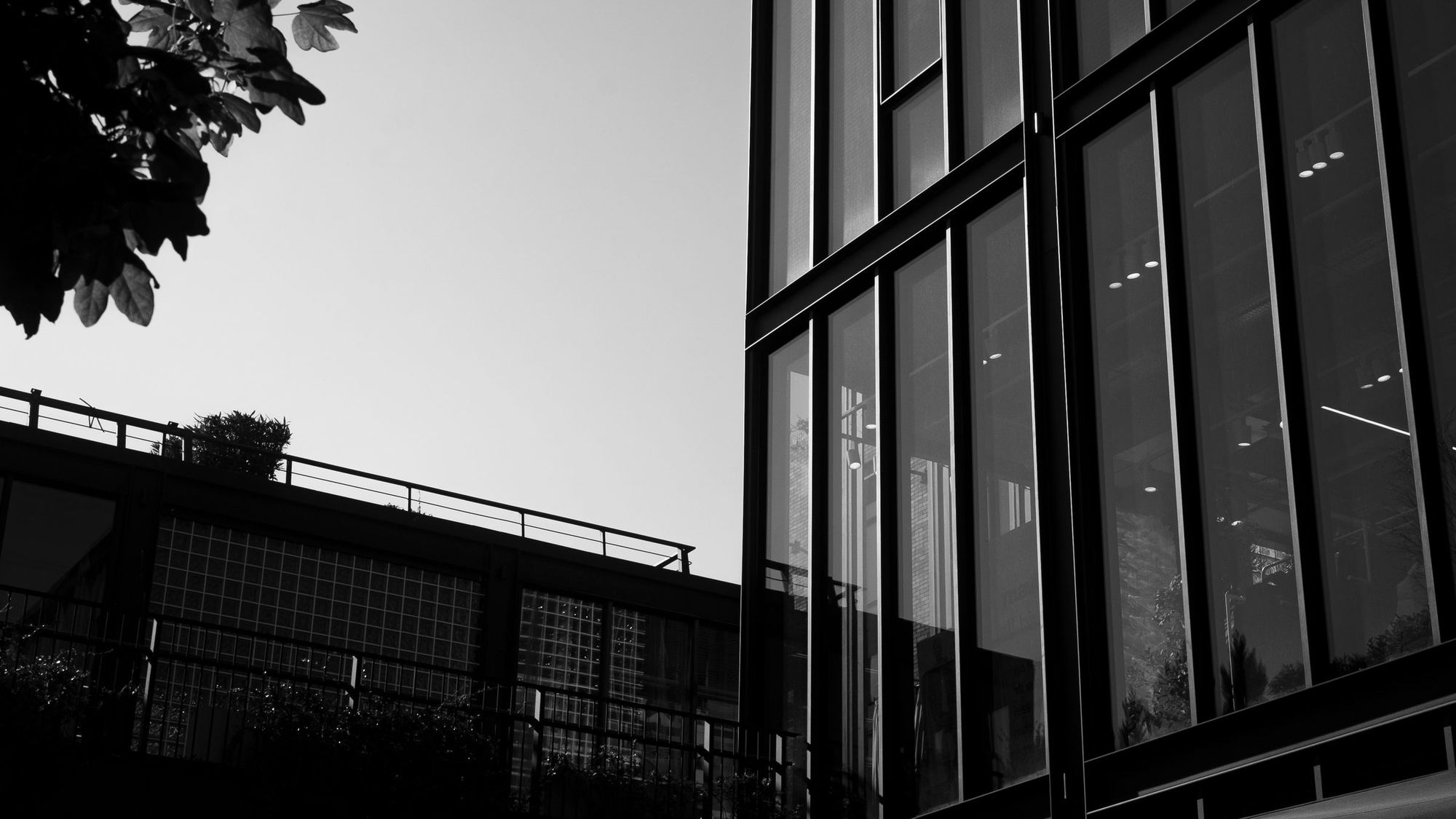 Glass office building against the sky